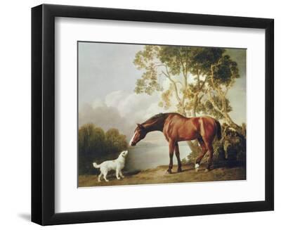 Bay Horse and White Dog - Black Framed Art Print Wall Art, 12x9