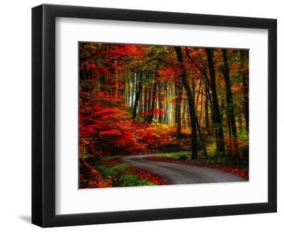 Colorful Way - Black Framed Art Print Wall Art, 12x9