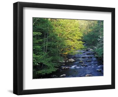 Elkmount Area, Great Smoky Mountains National Park, Tennessee, USA - Black Framed Art Print Wall Art, 12x9