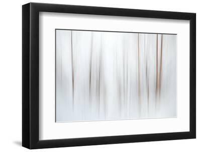 Fog - Black Framed Art Print Wall Art, 12x8