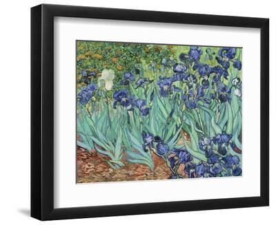 Irises, 1889 - Black Framed Art Print Wall Art, 12x9