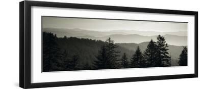 Panoramic View of Trees, Great Smoky Mountains National Park, North Carolina, USA - Black Framed Art Print Wall Art, 24x8