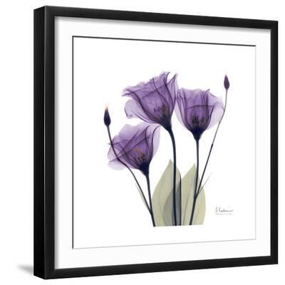 Royal Purple Gentian Trio - Black Framed Art Print Wall Art, 16x16