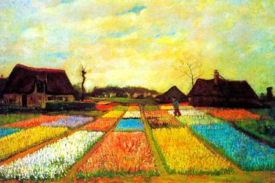 Vincent van Gogh Holland Flower Bed - Wall Art Print, 36x24