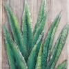 Empire Art Direct Mixed Media Iron Hand Painted Dimensional Wall Art Ready to Hang, 24" x 16", Succulent 1