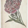 Stupell Industries Botanical Carnation Flower Drawing Red Green Design Canvas Wall Art, Multi-Color