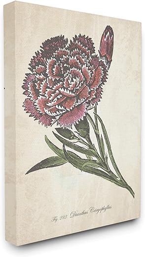 Stupell Industries Botanical Carnation Flower Drawing Red Green Design Canvas Wall Art, Multi-Color Stupell Industries Botanical Carnation Flower Drawing Red Green Design Canvas Wall Art, Multi-Color