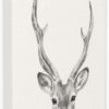 Stupell Industries Deer Portrait Grey Drawing Design Stupell Industries Deer Portrait Grey Drawing Design