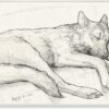 Stupell Industries Dog Curled Up Resting Detailed Graphite Pencil Drawing, Design by George Dyachenko