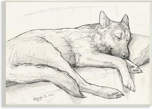 Stupell Industries Dog Curled Up Resting Detailed Graphite Pencil Drawing, Design by George Dyachenko