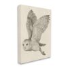 Stupell Industries Flying Barn Owl Wings Detailed Monochrome Drawing, Design by Grace Popp