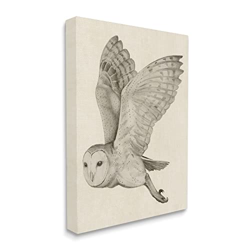 Stupell Industries Flying Barn Owl Wings Detailed Monochrome Drawing, Design by Grace Popp