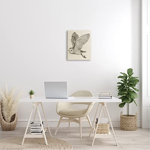 Stupell Industries Flying Barn Owl Wings Detailed Monochrome Drawing, Design by Grace Popp