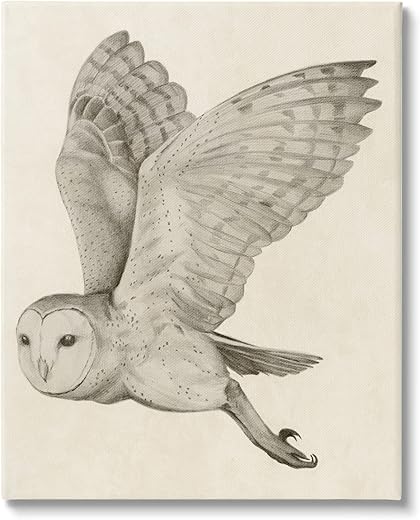 Stupell Industries Flying Barn Owl Wings Detailed Monochrome Drawing, Design by Grace Popp Stupell Industries Flying Barn Owl Wings Detailed Monochrome Drawing, Design by Grace Popp