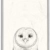 Stupell Industries Owl Portrait Drawing Design, Designed by Victoria Borges Wall Art, 11 x 1.5 x 14, Grey Framed
