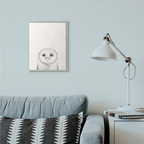 Stupell Industries Owl Portrait Drawing Design, Designed by Victoria Borges Wall Art, 16 x 1.5 x 20, Grey Framed Stupell Industries Owl Portrait Drawing Design, Designed by Victoria Borges Wall Art, 16 x 1.5 x 20, Grey Framed