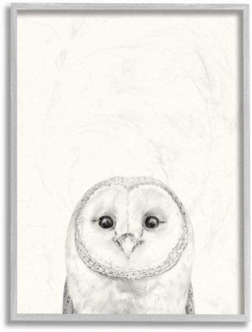 Stupell Industries Owl Portrait Drawing Design, Designed by Victoria Borges Wall Art, 11 x 1.5 x 14, Grey Framed Stupell Industries Owl Portrait Drawing Design, Designed by Victoria Borges Wall Art, 11 x 1.5 x 14, Grey Framed