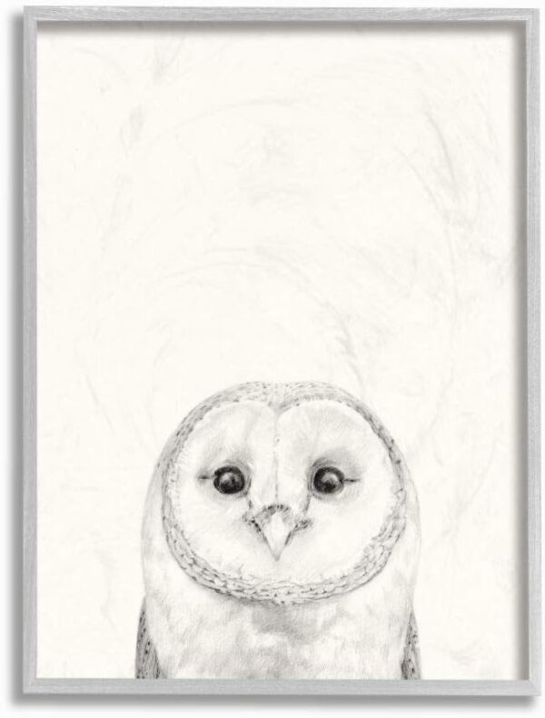 Stupell Industries Owl Portrait Drawing Design, Designed by Victoria Borges Wall Art, 11 x 1.5 x 14, Grey Framed