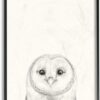Stupell Industries Owl Portrait Grey Drawing Design, Designed by Victoria Borges Wall Art, 11 x 1.5 x 14, Black Framed