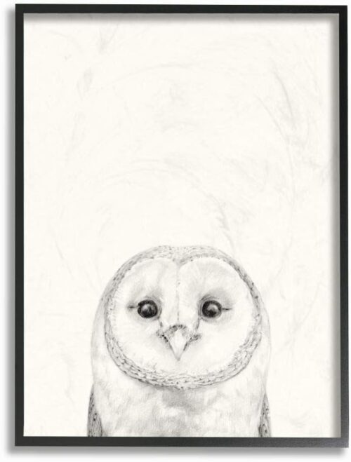 Stupell Industries Owl Portrait Grey Drawing Design, Designed by Victoria Borges Wall Art, 11 x 1.5 x 14, Black Framed Stupell Industries Owl Portrait Grey Drawing Design, Designed by Victoria Borges Wall Art, 11 x 1.5 x 14, Black Framed
