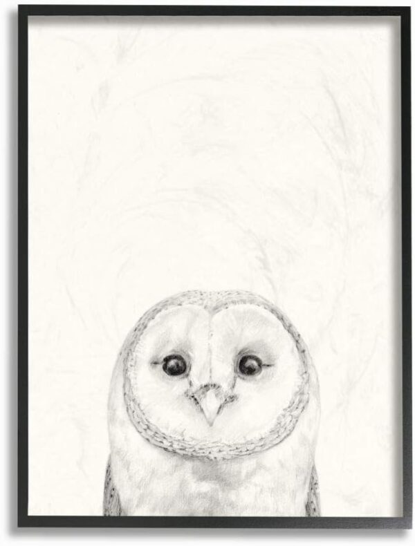 Stupell Industries Owl Portrait Grey Drawing Design, Designed by Victoria Borges Wall Art, 11 x 1.5 x 14, Black Framed