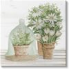 Stupell Industries White Flower Arrangements Traditional Tabletop Floral Drawing, Designed by Cindy Jacobs Black Framed Wall Art, 20 x 16